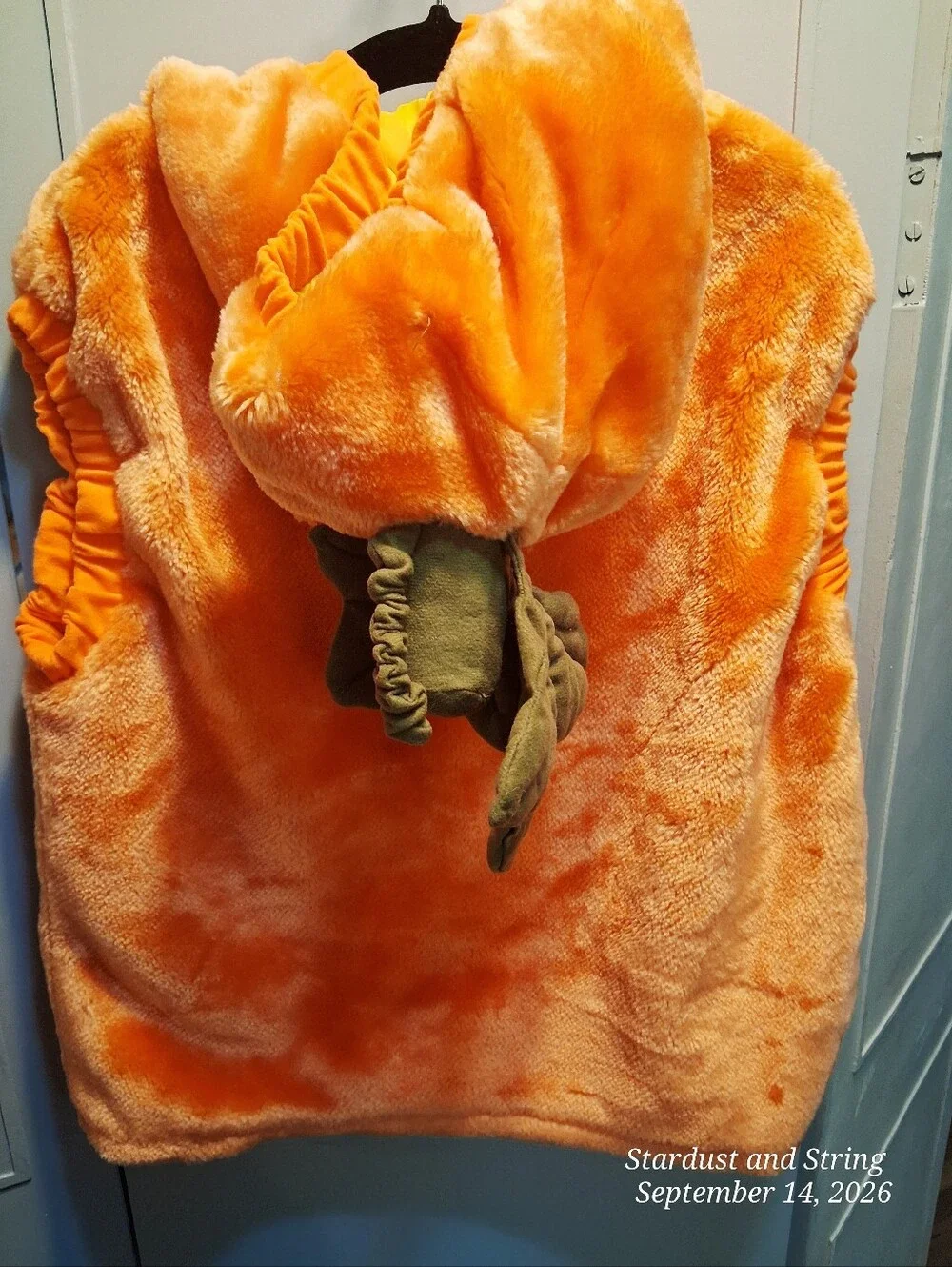 👜 Celebration Halloween Plush Pumpkin Vest Costume Orange Child 👜
